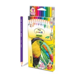 My Pencil Color Wow Pack of 12 Dollar