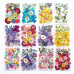 Dry Flower for Resin Art and Candle Making
