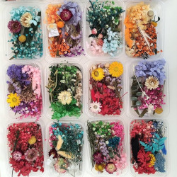Dry Flower for Resin Art and Candle Making