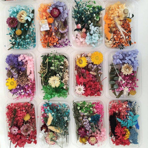 Dry Flower for Resin Art and Candle Making