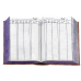Ledger Register No12 Pages744 Khata ( لیجر رجسٹرڈ چرمی) Global