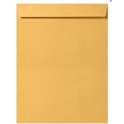 Envelope Golden A5 Width 6 Inch Length 9 Inch Nawaz