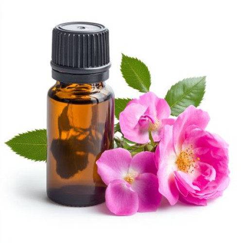 Rose Fragrance Oil 10ml