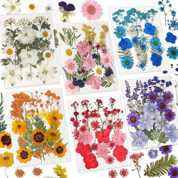 Natural Dry Flower for Resin Art and Candle Making Decorations Single Box