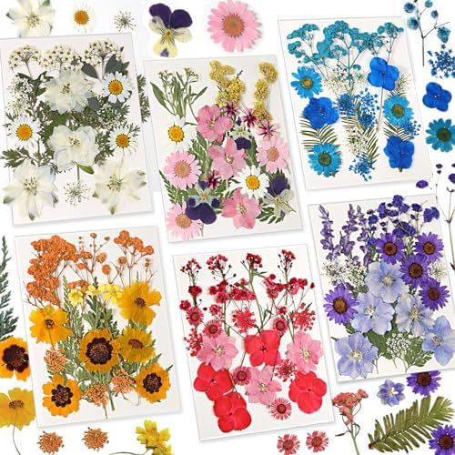 Natural Dry Flower for Resin Art and Candle Making Decorations Single Box